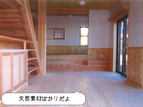 天然素材ばかりだよ